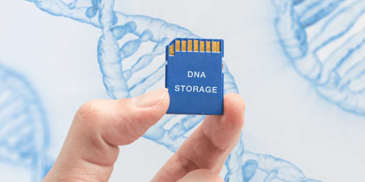 Unraveling Life’s Code: DNA: The Future’s Flash Drive?